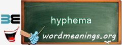 WordMeaning blackboard for hyphema